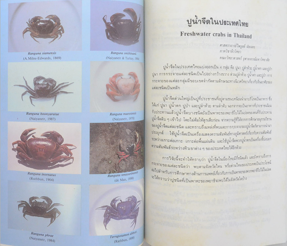 รศ.นพ.ประพันธ์ จิตต์จำนงค์ (เครื่องราชอิสริยาภรณ์-ปูน้ำจืดในประเทศไทย)