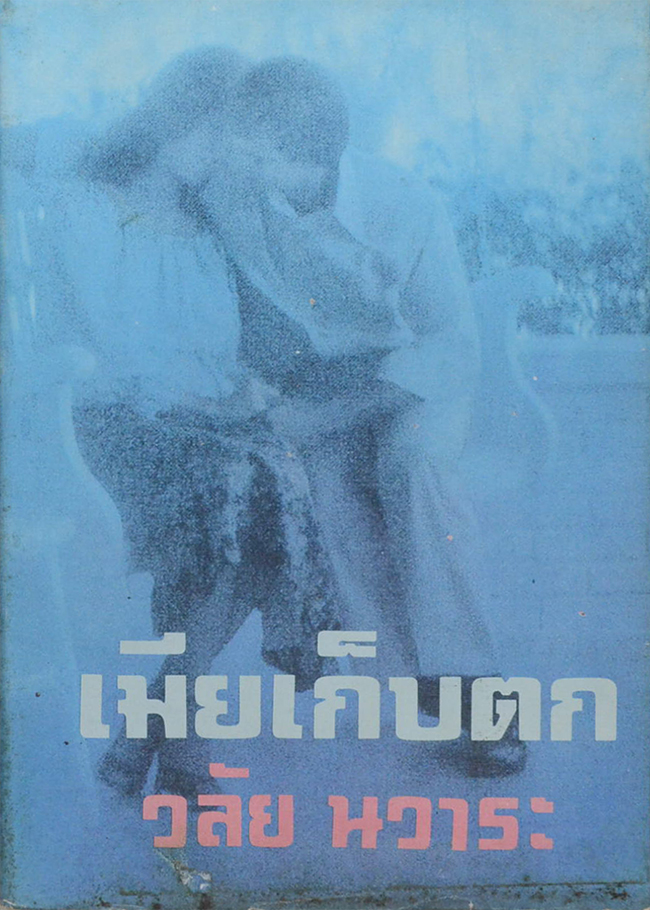 เมียเก็บตก (เล่มเดียวจบ)