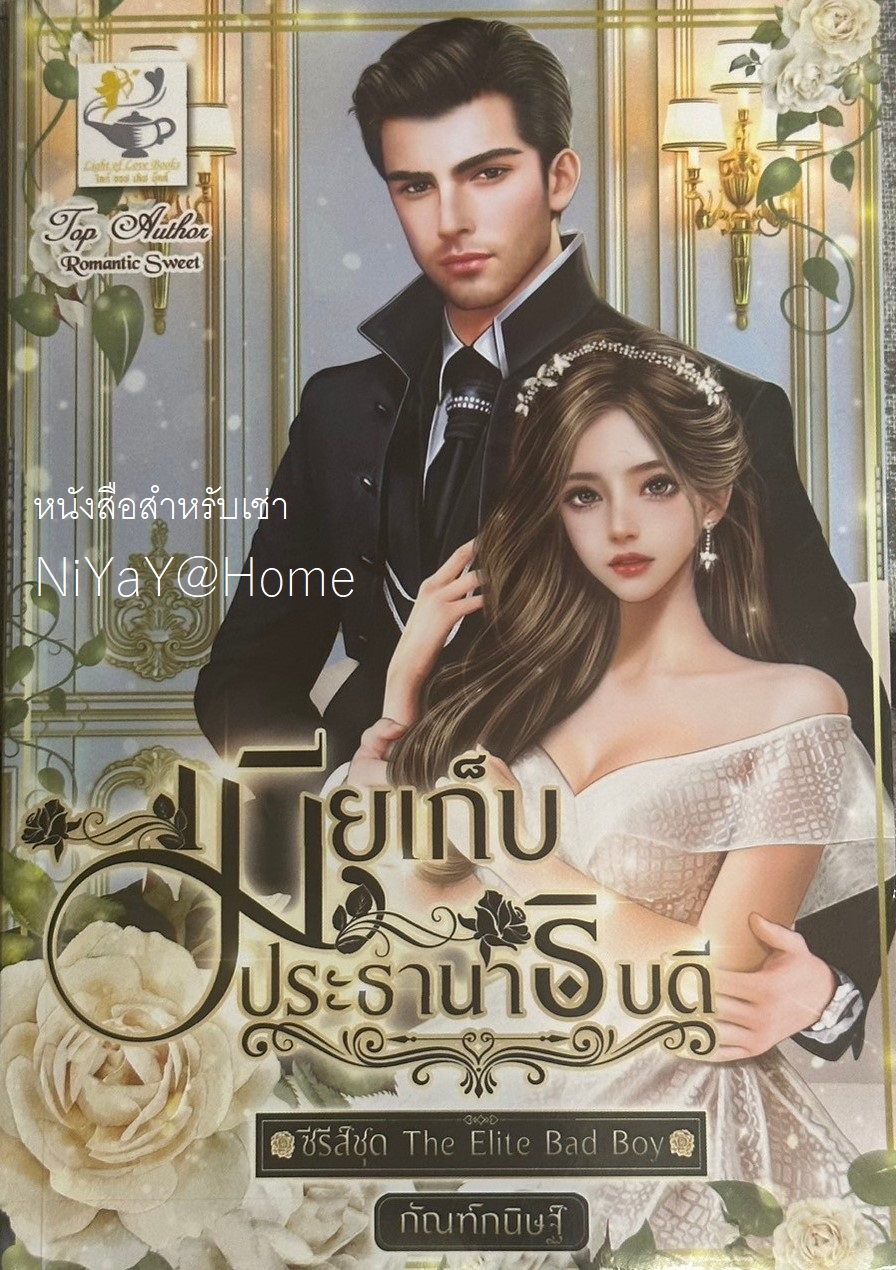 เมียเก็บประธานาธิบดี (ซีรีส์ชุด The Elite Bad Boy ลำดับที่ 1)
