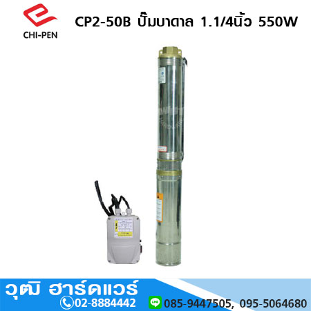 CHI-PEN CP2 ปั๊มบาดาล 1.1/4นิ้ว สำหรับบ่อ 4 นิ้ว