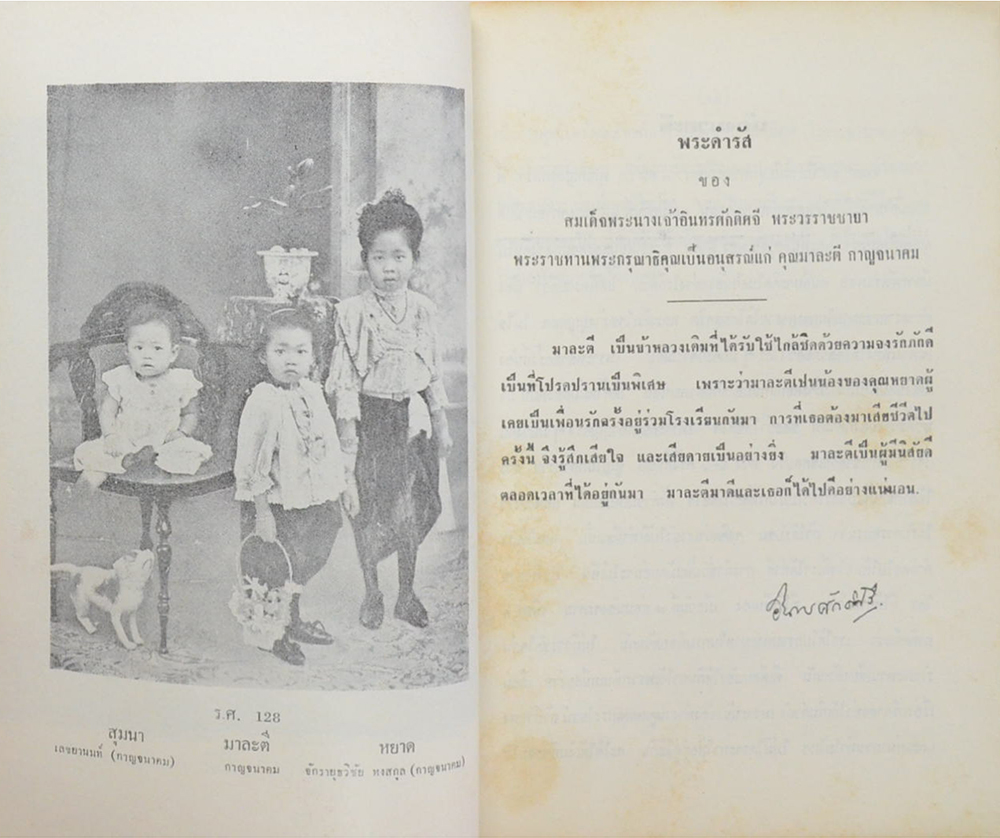 เสือเฒ่า