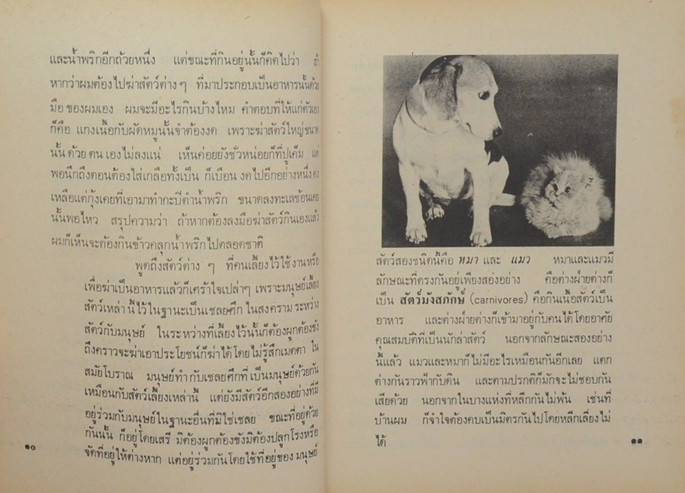 เรื่องของคนรักหมา