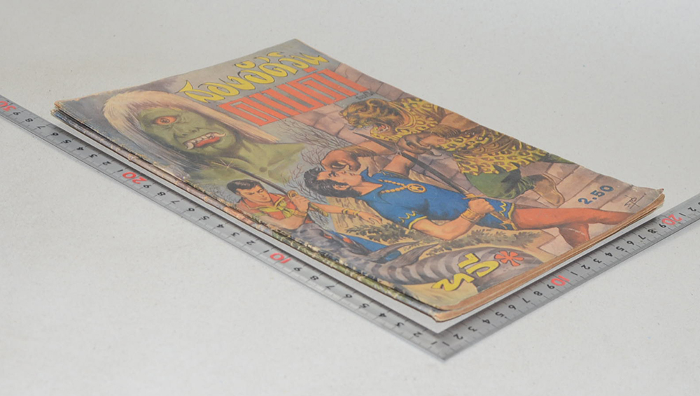 สองอัศวินดาบดำ (2 เล่มจบ)