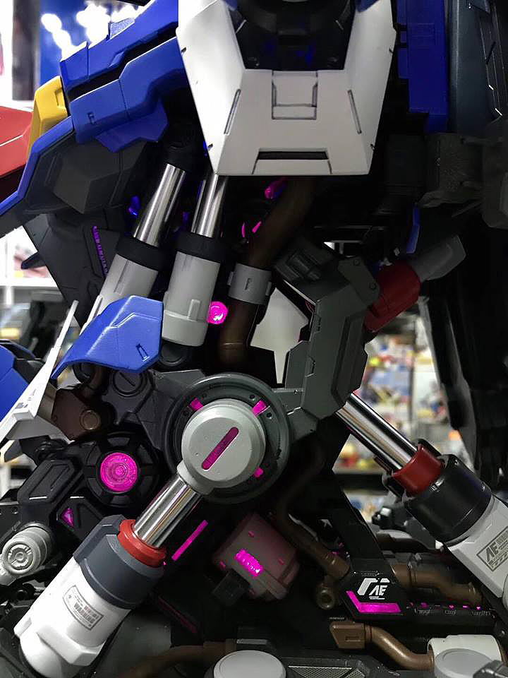 1/35 BSC ZETA Bust Display Head