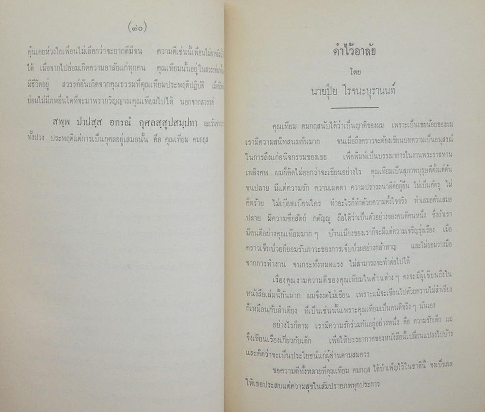 กล้วยไม้ และ ไม้ดอกที่น่าสนใจ