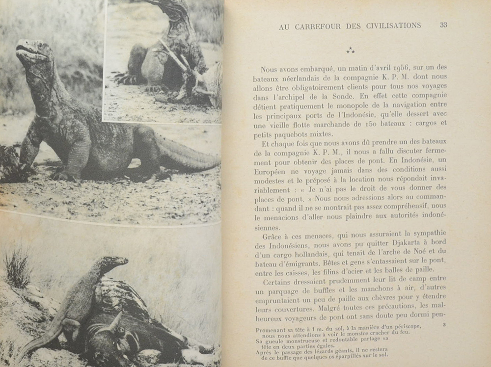 CHEZ LES RESCAPES DU DELUGE