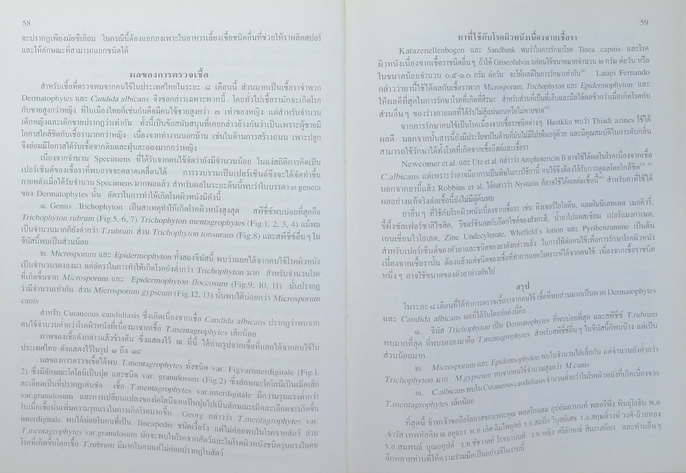 วิจัยเชื้อราและภาพวาด (ภาษาไทย-อังกฤษ) (ขายตามสภาพ)