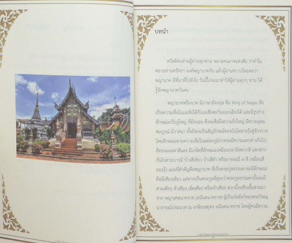 ปาฏิหาริย์แห่งศรัทธาพ่อปู่นาคา