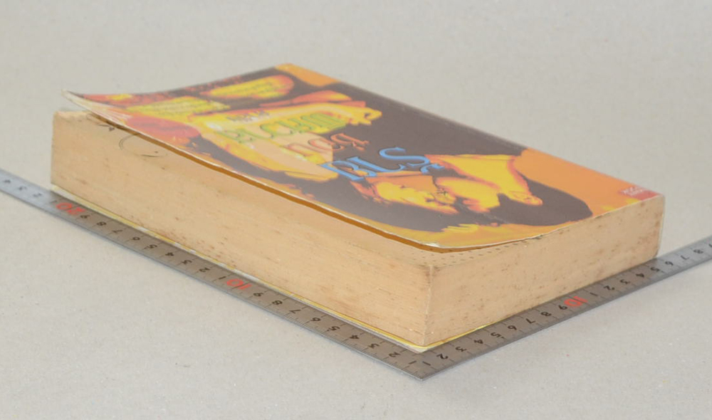 ร้ายซ่อนพิศวาส (เล่มเดียวจบ)