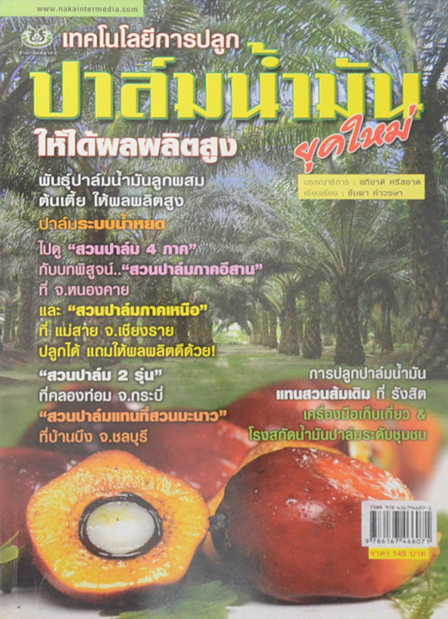 เทคโนโลยีการปลูก ปาล์มน้ำมัน ยุคใหม่
