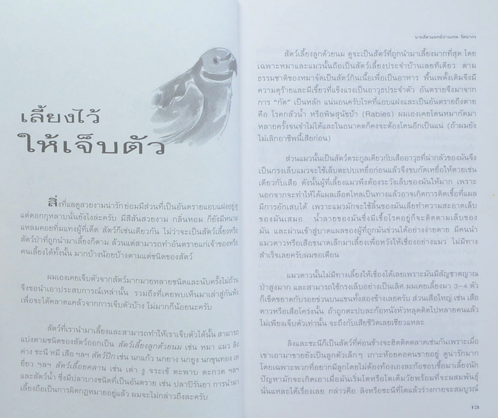 ปาร์ตี้สัตว์ป่า (ขายตามสภาพ)