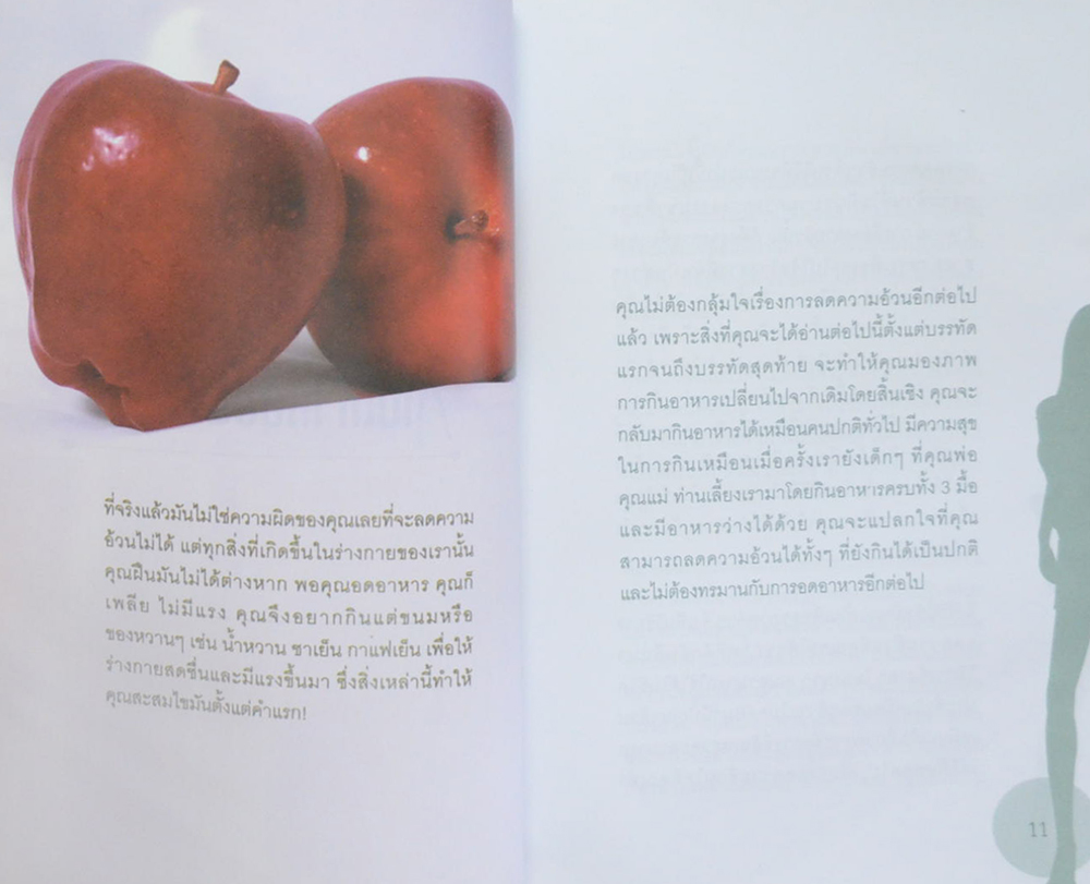 ผอมเลือกได้ No more Diet