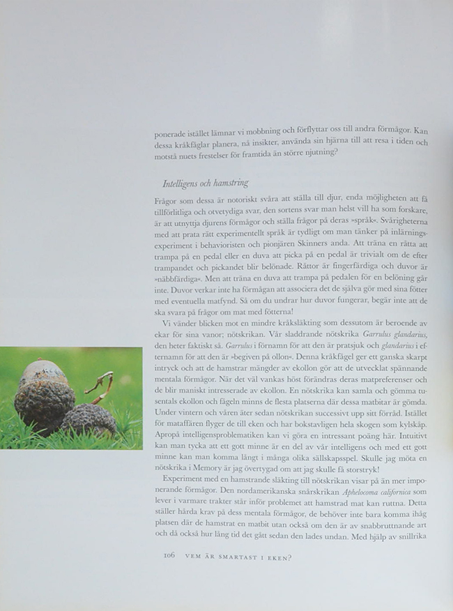 Quercus EKENS MANGRALD