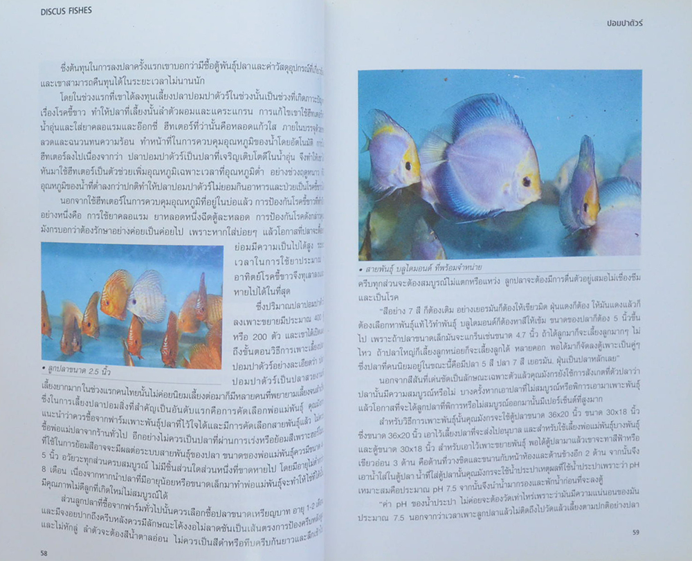 ปอมปาดัวร์