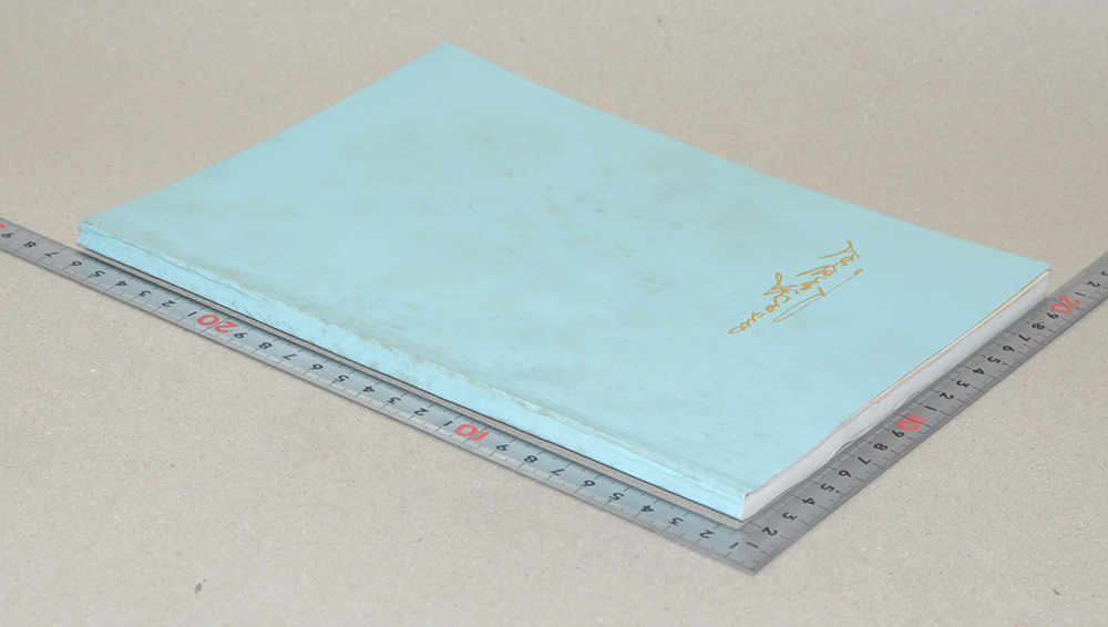 พระศรีวิสุทธิเวที (ไตรลักษณ์) (ขายตามสภาพ)