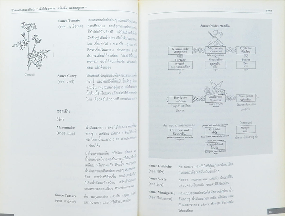 วิวัฒนาการและศิลปะการจัดโต๊ะอาหาร เครื่องดื่ม และเมนูอาหาร