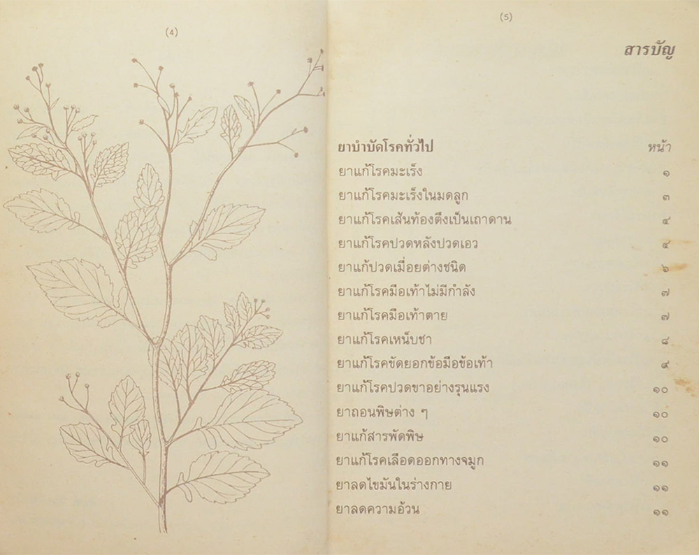 ตำรายาชาวบ้าน (ขนานแท้)