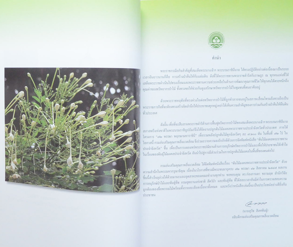 ต้นไม้มงคลพระราชทานประจำจังหวัด (ขายตามสภาพ)