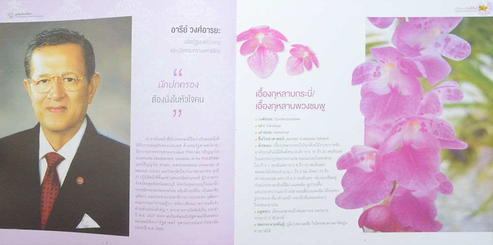 ชีวิตงาม กล้วยไม้ไทย (ขายตามสภาพ)