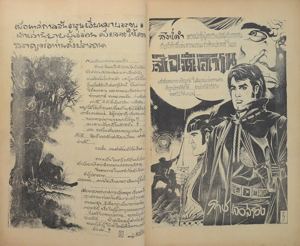 สิงห์ดำ (2 เล่มจบ/ขายตามสภาพ)