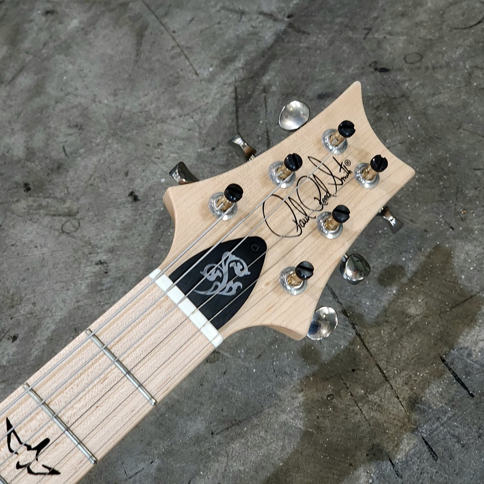 (USED) PRS FIORE "Mark Littieri - Black Iris (2020)