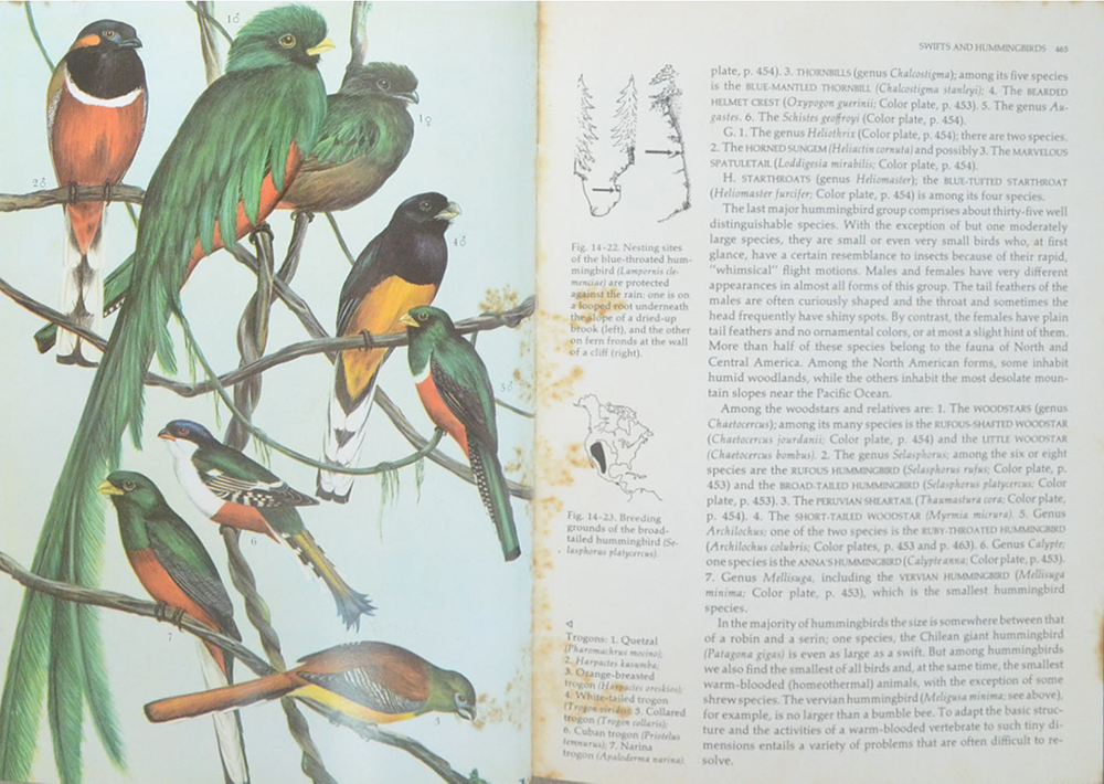 Grzimek’s ANIMAL LIFE ENCYCLOPEDIA