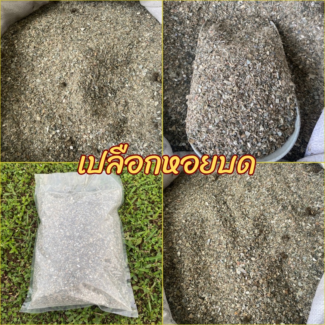 เปลือกหอยบดแห้ง 100% Crushed Seashell for Soil Imp