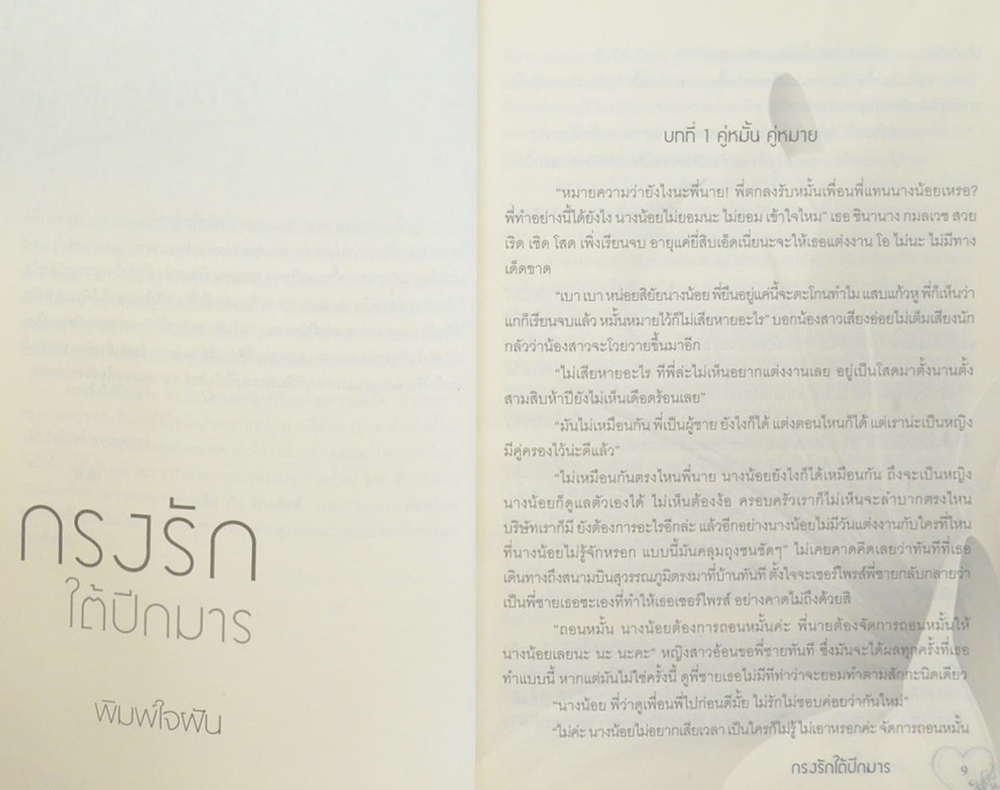 กรงรักใต้ปีกมาร (เล่มเดียวจบ)