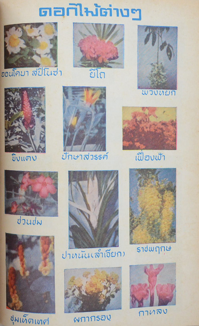 หลวงบุเรศบำรุงการ (ไม้ในพุทธศาสนา)