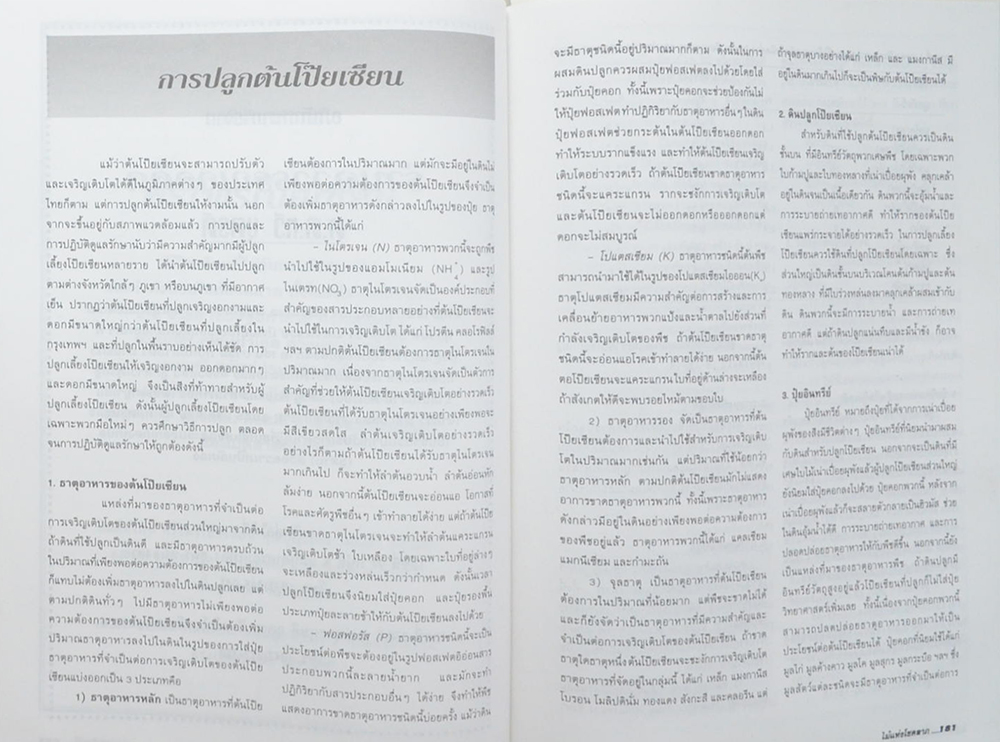 โป๊ยเซียนไม้แห่งโชคลาภ (ขายตามสภาพ)