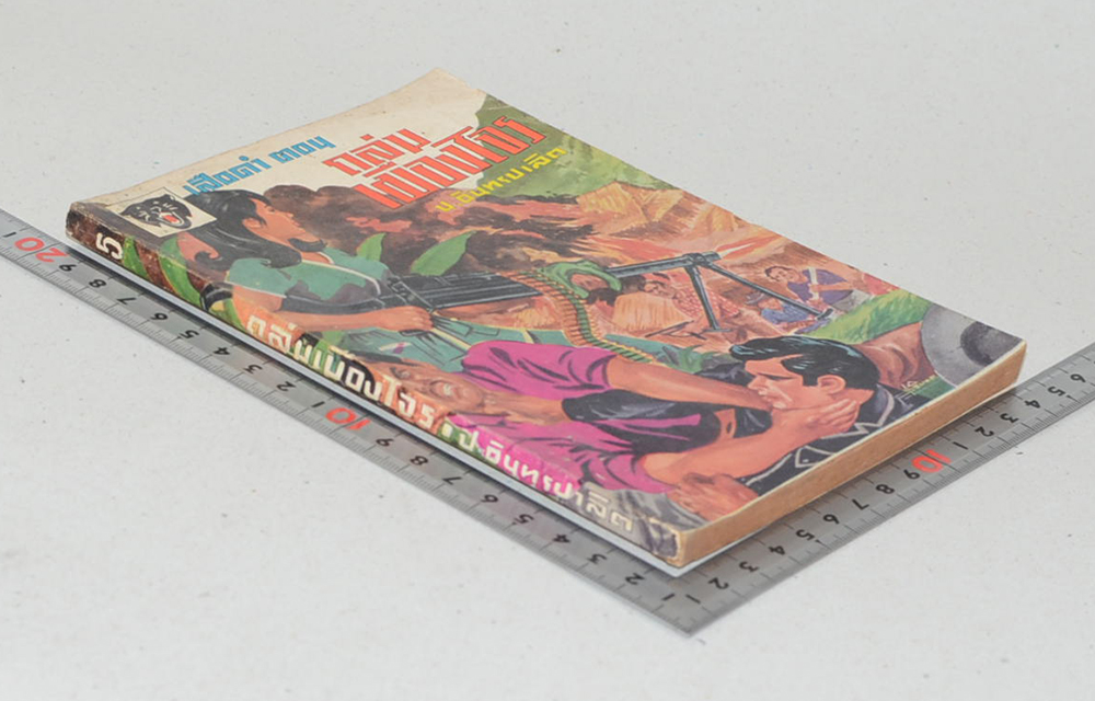 เสือดำ ตอน ถล่มเมืองโจร (เล่ม 15)