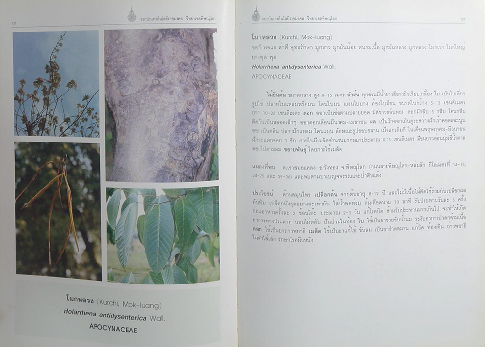 พันธุ์พืชอนุรักษ์ (ขายตามสภาพ)