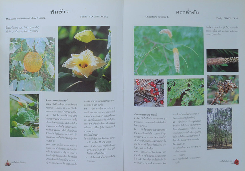 สมุนไพรในป่าฝน (เล่ม 1) (ขายตามสภาพ)