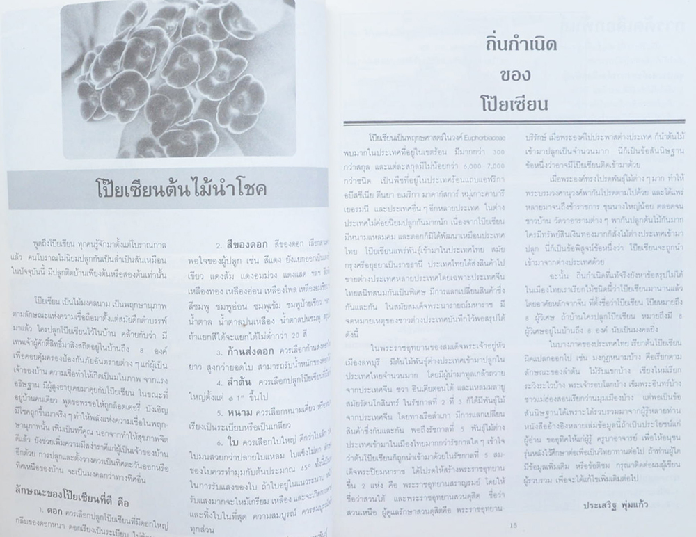 โป๊ยเซียน ไม้มงคล