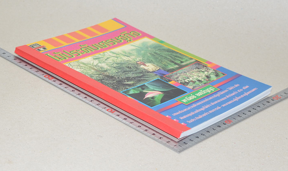 ไม้ประดับเศรษฐกิจ (ขายตามสภาพ)