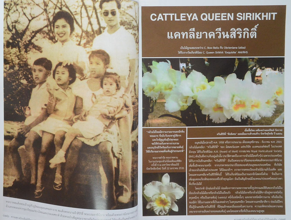 ความสุข ฉบับ กล้วยไม้ไทย