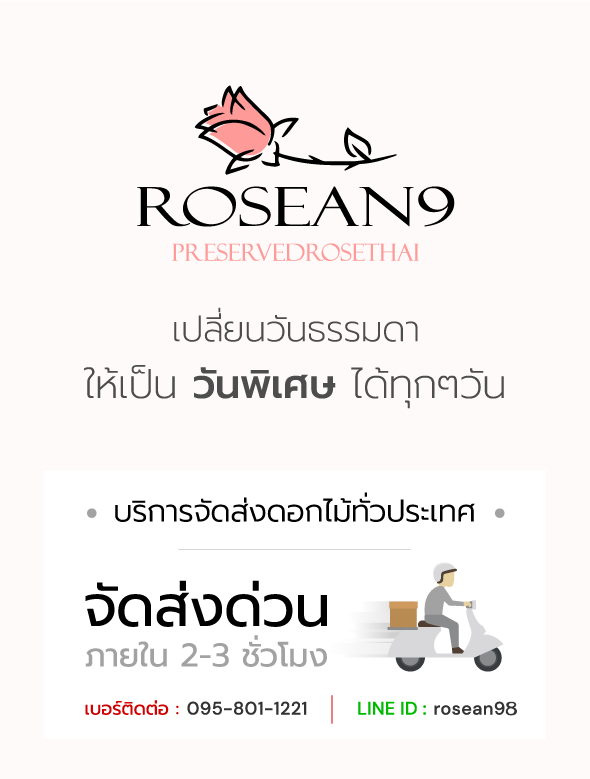rosean9 Presevedrosethai rose preserved every day every love เปลี่ยนวันธรรมดา ให้เป็นวันพิเศษได้ทุกวัน บริการจัดส่งดอกไม้ทั่วประเทศ จัดส่งด่วน ภายใน 2-3 ชั่วโมง เบอร์ติดต่อ 095-801-1221 Lind id rosean9
