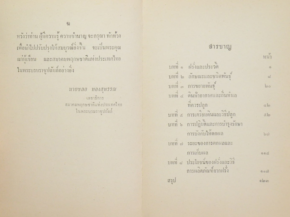 การทำไร่ฝรั่ง (ขายตามสภาพ)