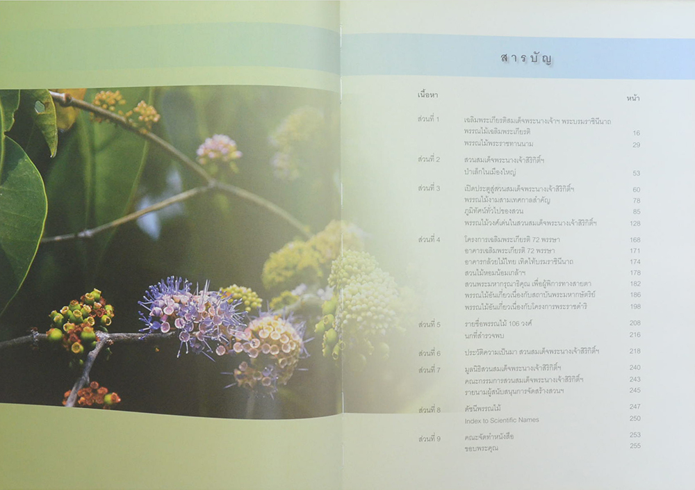 สวนสมเด็จพระนางเจ้าสิริกิติ์ฯ