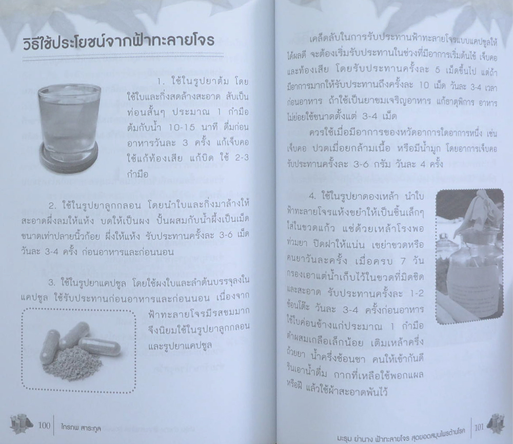 มะรุม ย่านาง ฟ้าทะลายโจร สุดยอดสมุนไพรต้านโรค