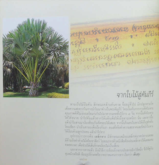 วิวัฒน์การอ่านไทย (ภาษาไทย-อังกฤษ)