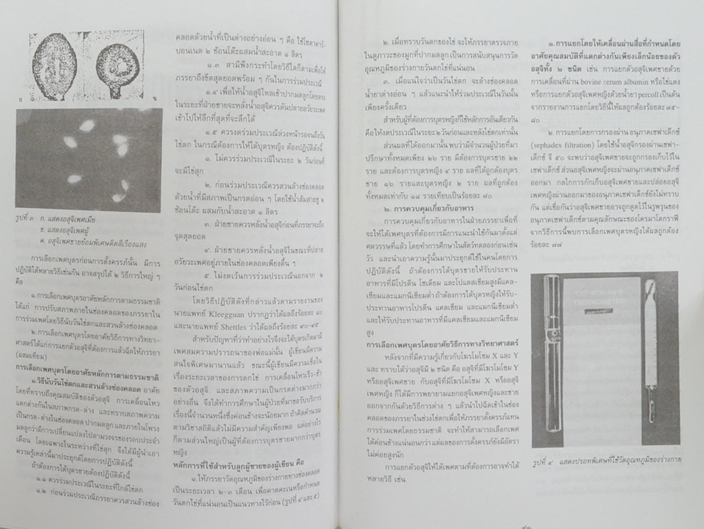 คุณหญิงเชย กฤตราชทรงสวัสดิ์ (แม่ พระในบ้าน)