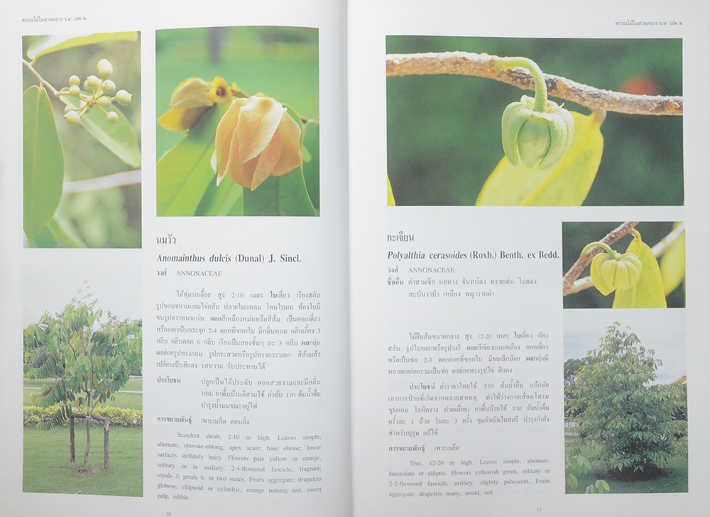 พรรณไม้ในสวนหลวง ร.9 (เล่ม 2 / ขายตามสภาพ)