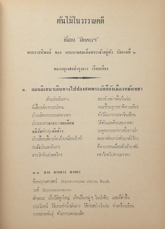 นางฤทธิรณไชย (ต้นไม้ในวรรณคดี)