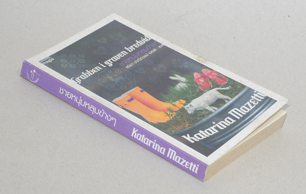 ชายหนุ่มหลุมข้างๆ (เล่มเล็ก)