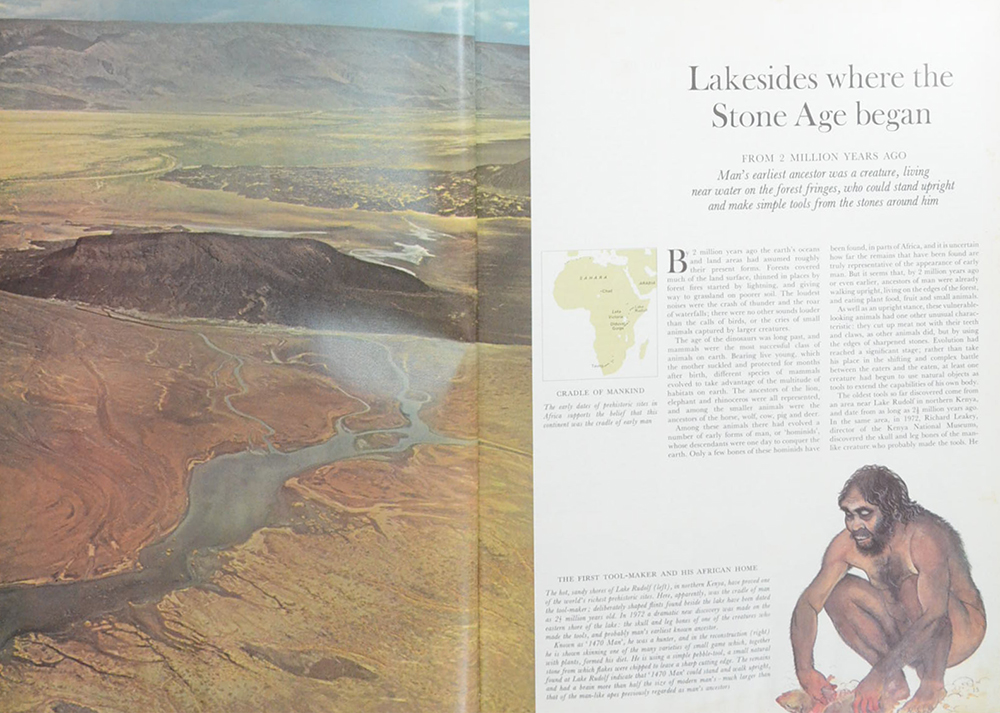 THE LAST TWO MILLION YEARS (ขายตามสภาพ)