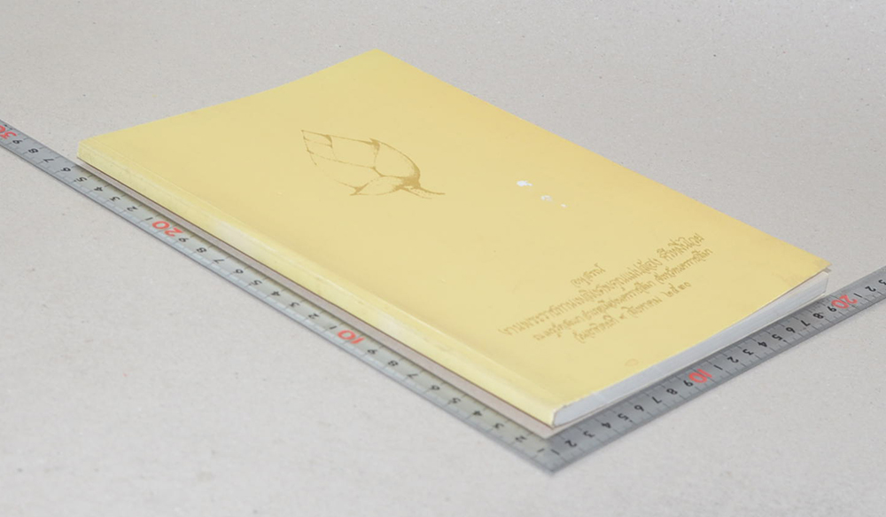 คุณแม่ปล้อง ศรีหมื่นไวย (หมอเทวดา)