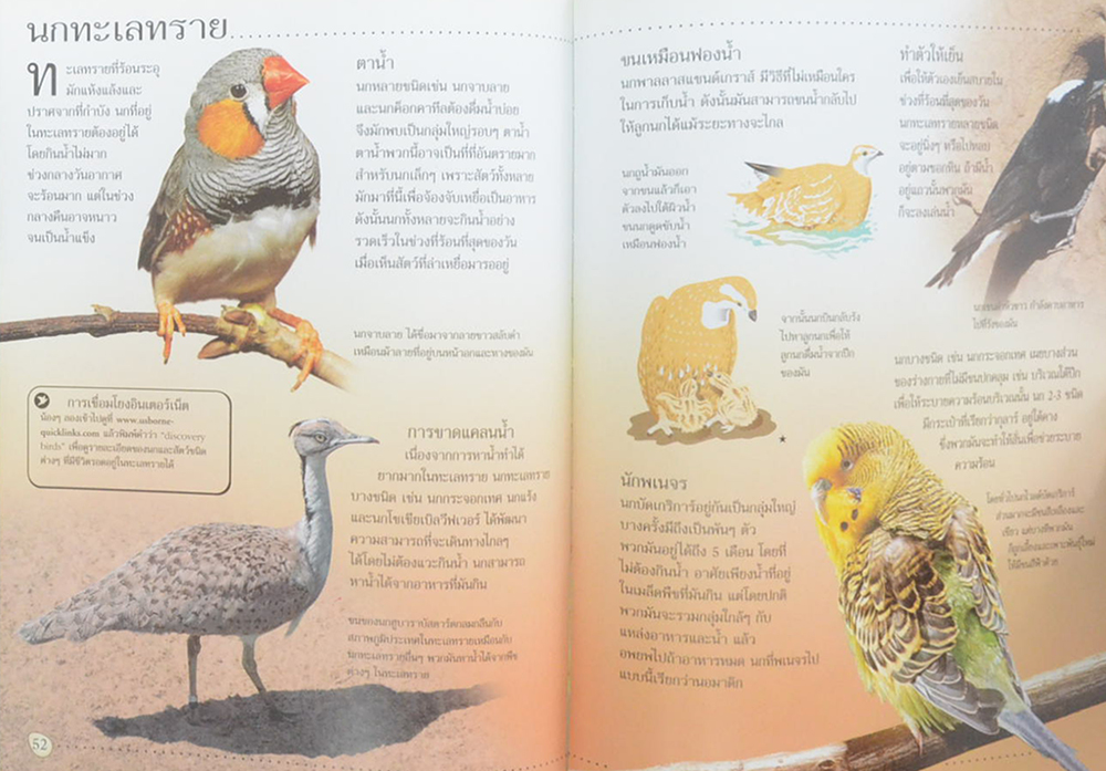 โลกของนก (ขายตามสภาพ)