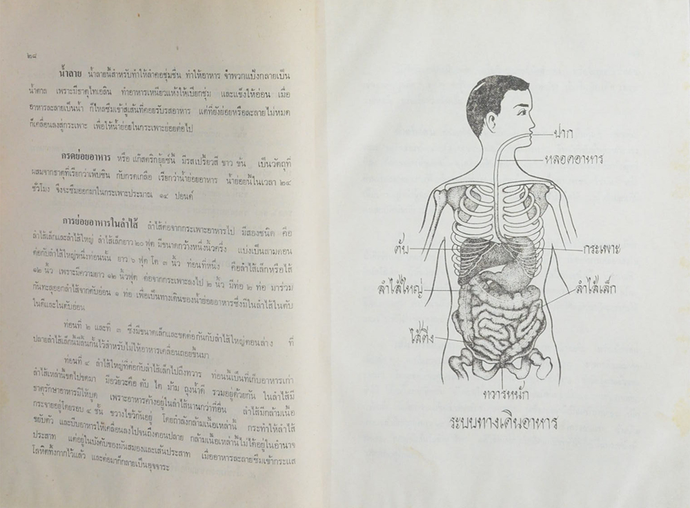 ตำรา “หมอ”