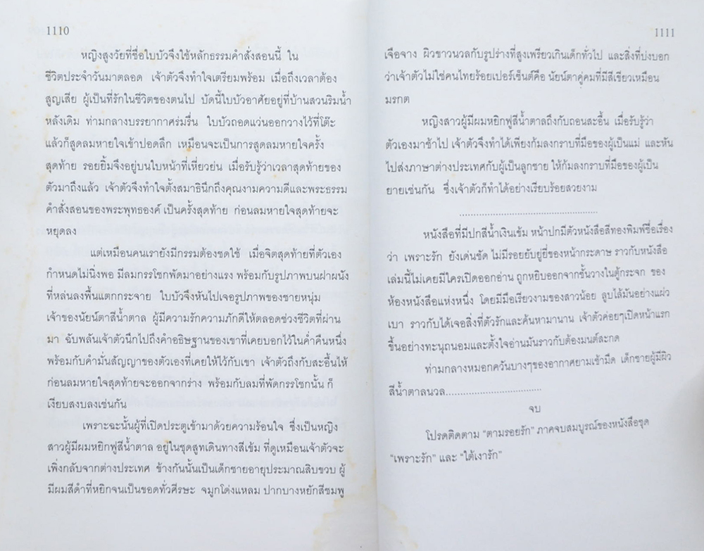 ใต้เงารัก (2 เล่มจบ)